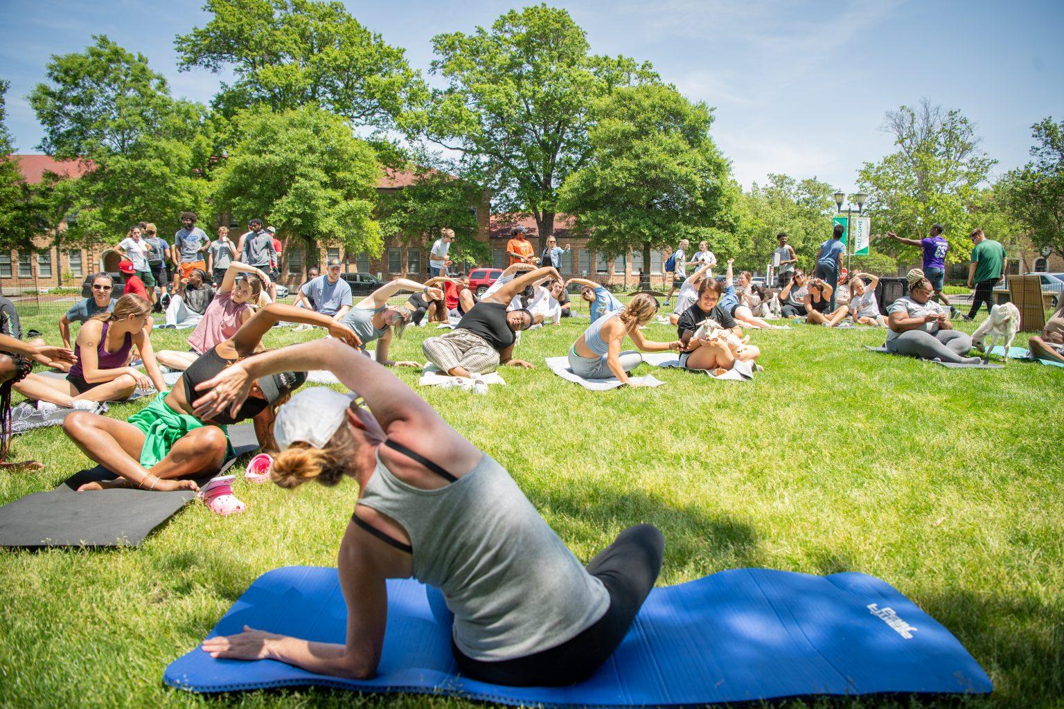 Students doing Goat Yoga on the Quad.